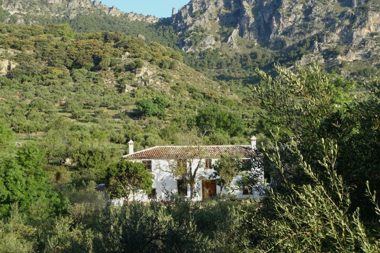 Gasthaus Betania Grazalema Exterior foto